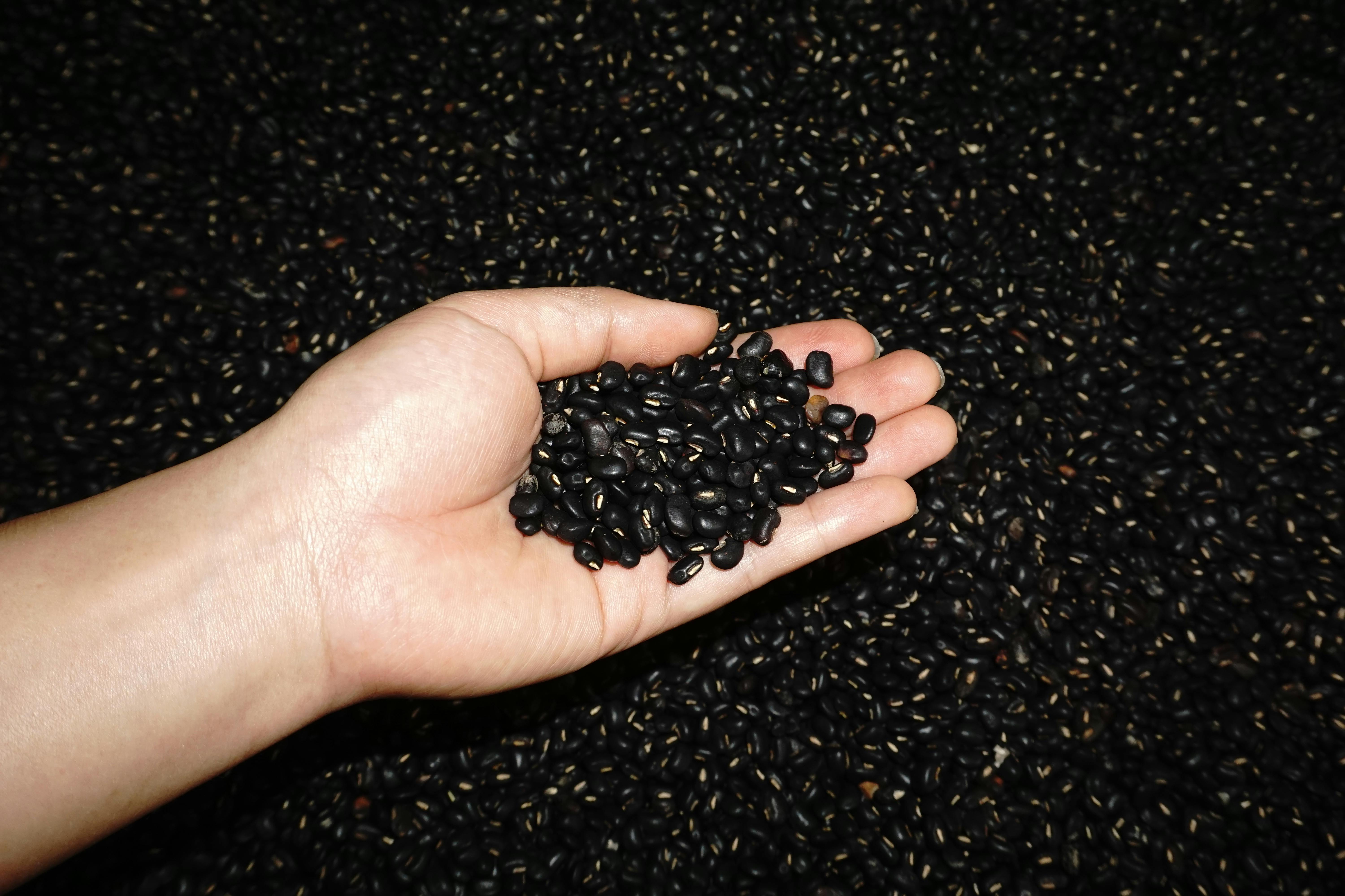 Black Matpe