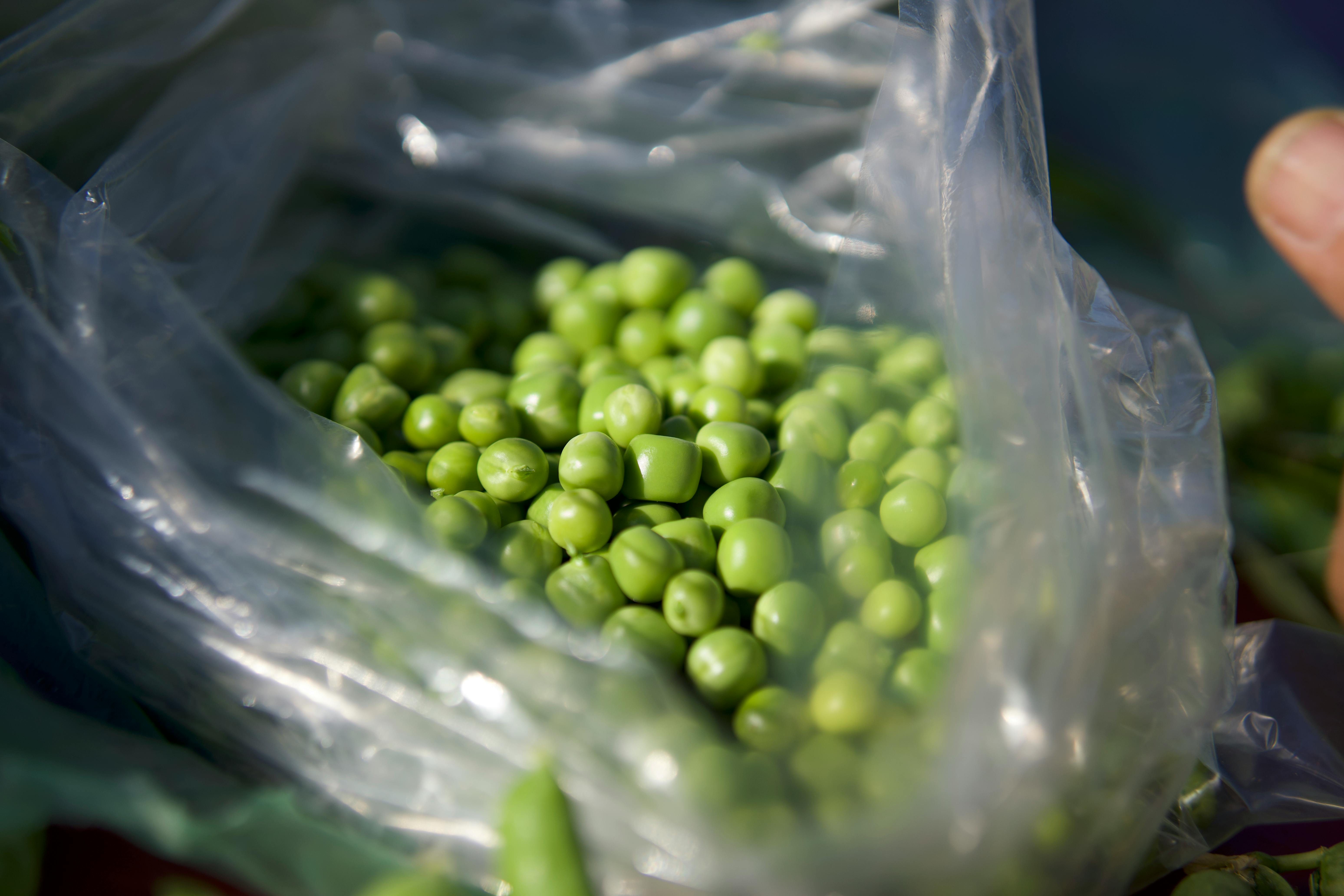Chick Peas
