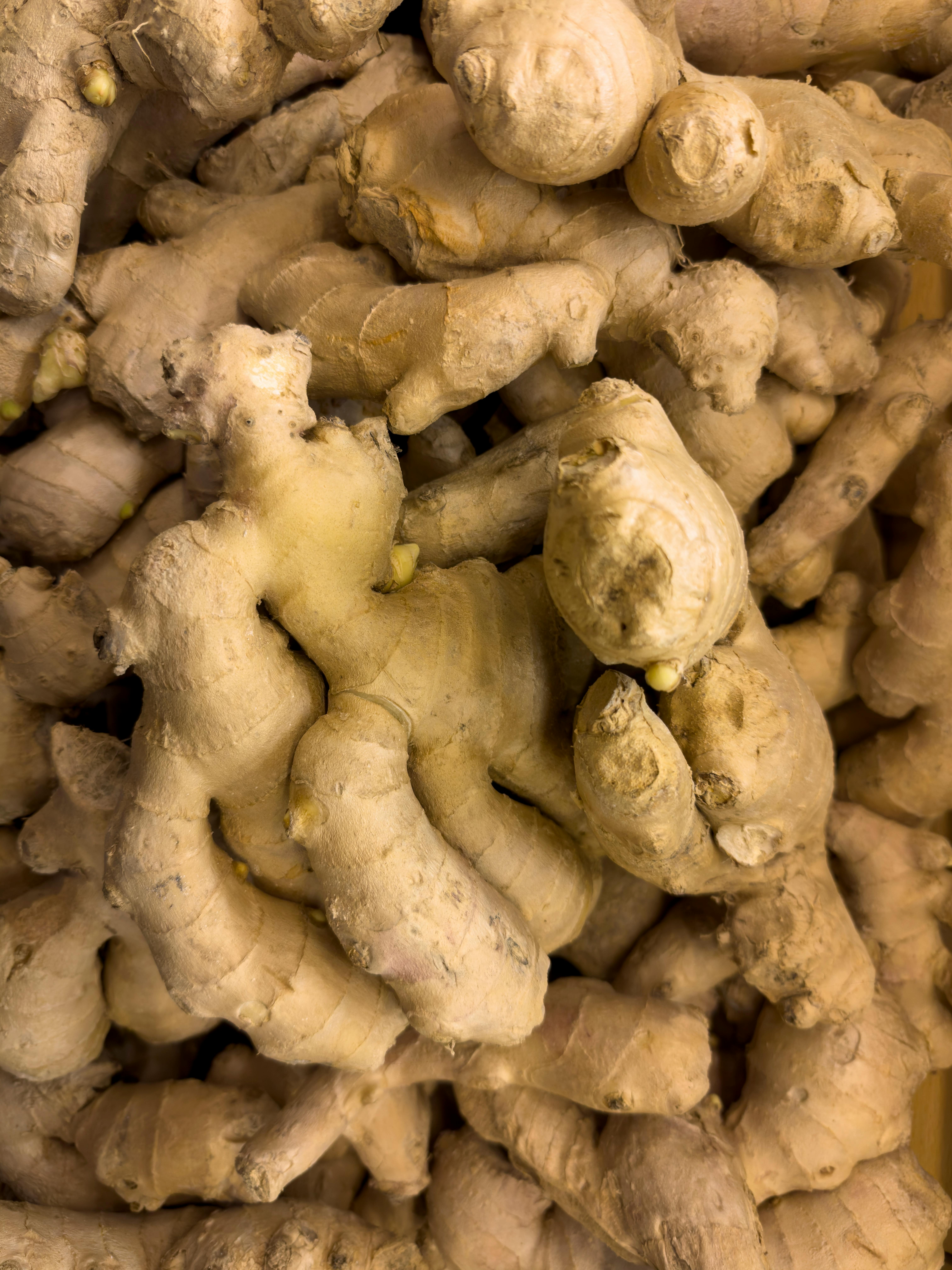 Dry Ginger