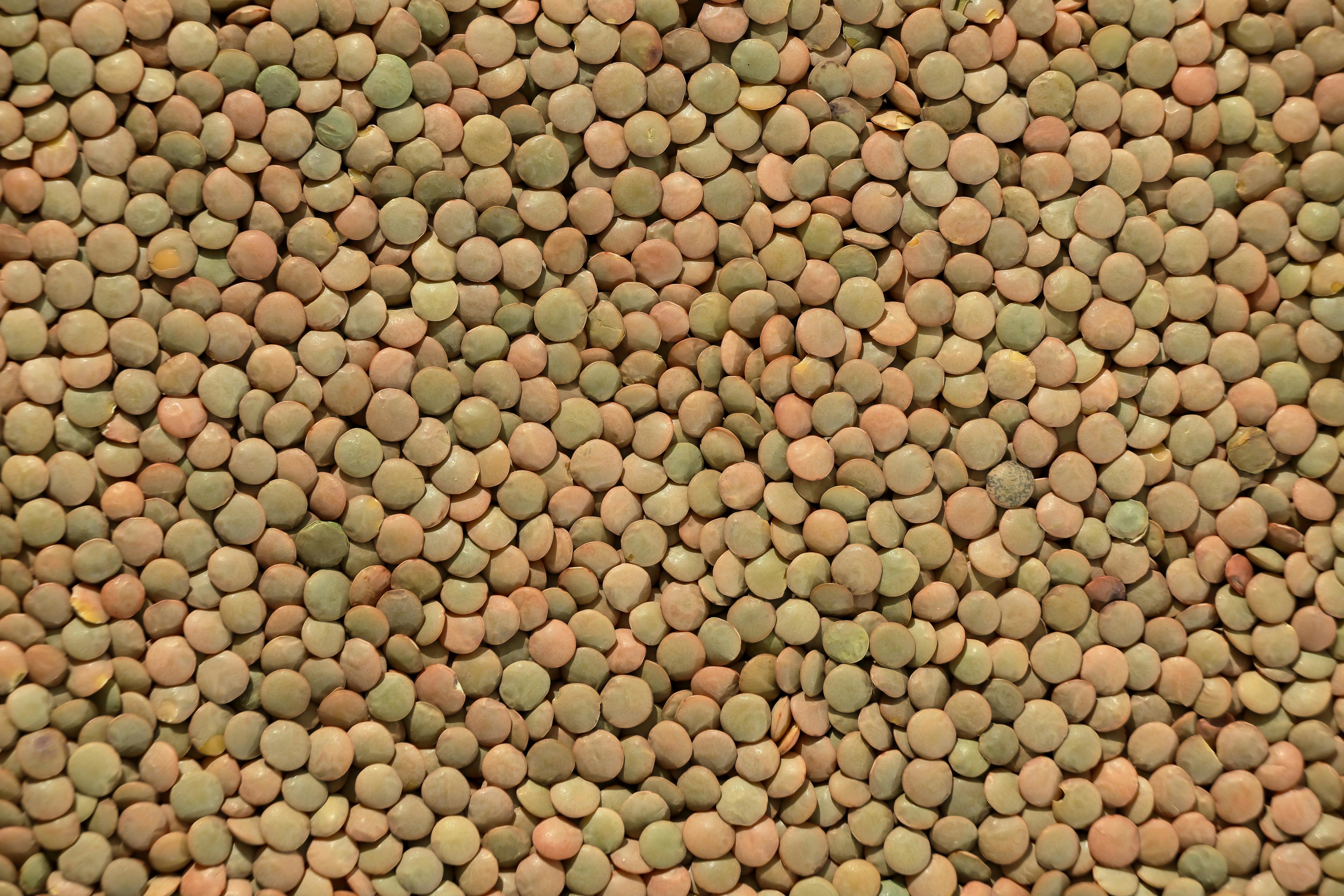Green Lentils